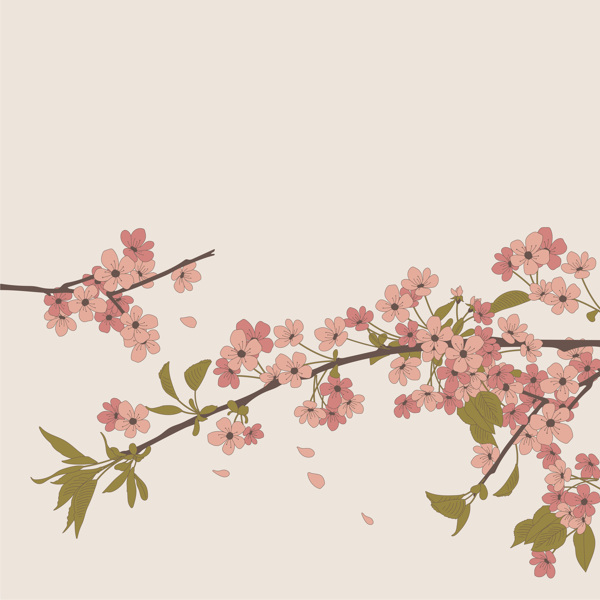 樱花壁纸