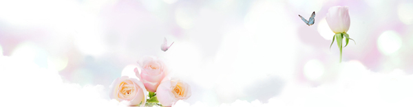 虛化護膚品玫瑰背景banner