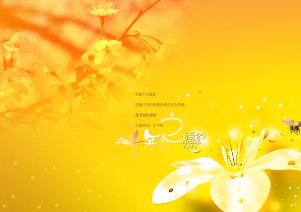 婚紗照相冊(cè)藝術(shù)照psd素材