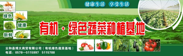 蔬菜宣傳欄