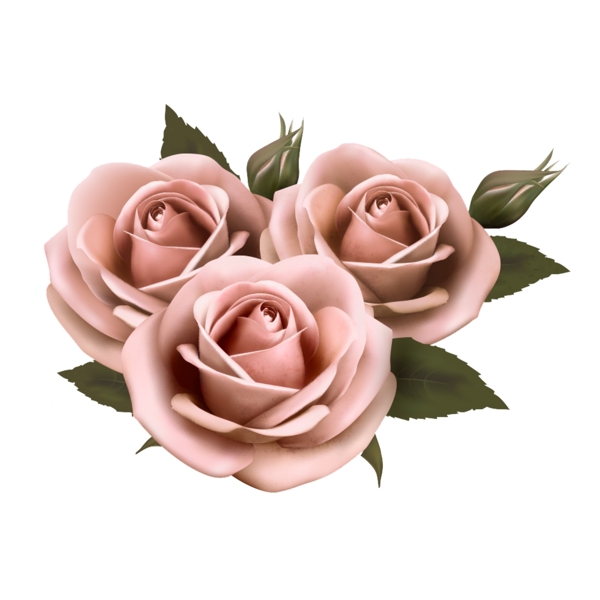 玫瑰花
