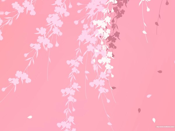 纯色粉色背景剪影碎花图案