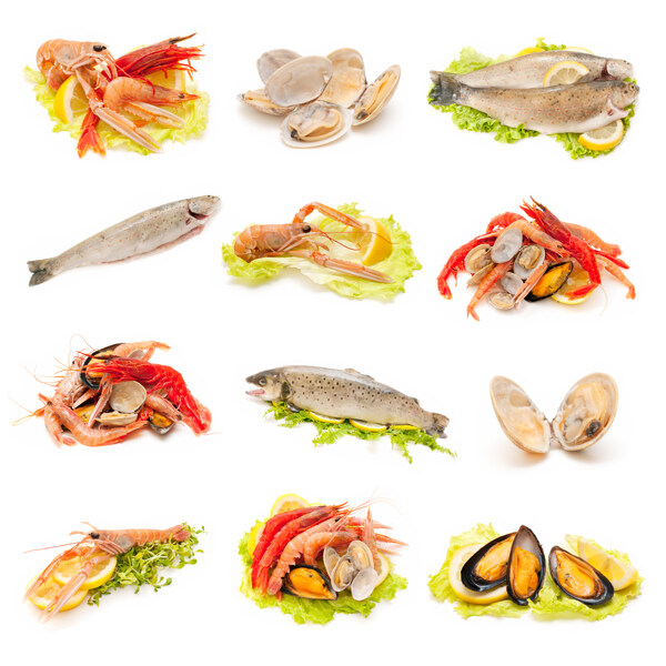 海鮮食品圖片