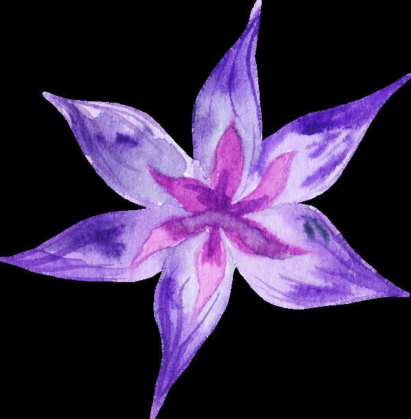 盛开紫色花卉卡通水彩透明素材