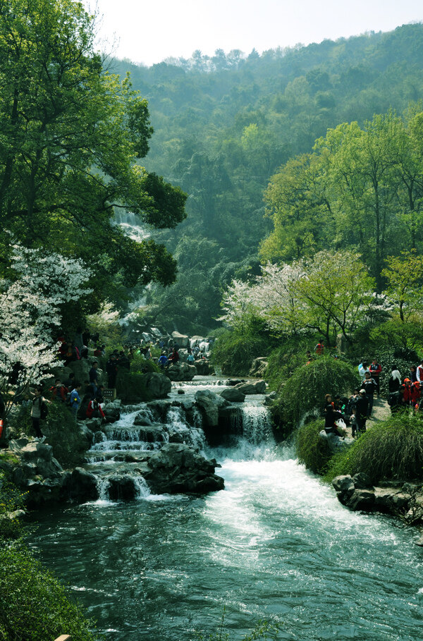 太子灣公園奔流溪水