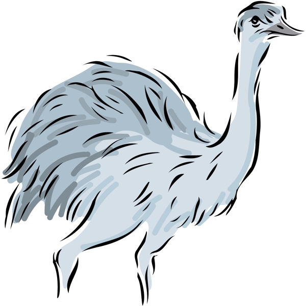 各種鳥(niǎo)類(lèi)鳥(niǎo)動(dòng)物矢量素材EPS格式1135