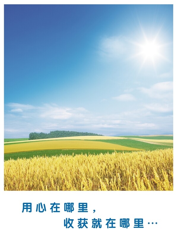 用心企業(yè)文化企業(yè)形象分層PSD924