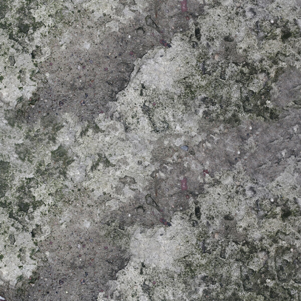 貼圖