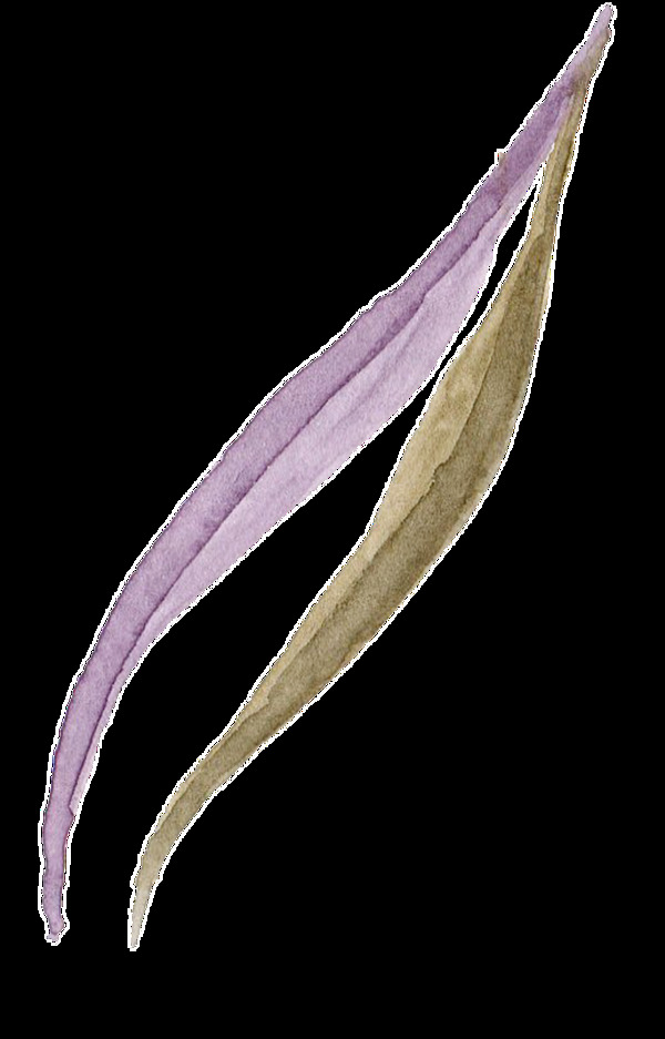绿紫海草卡通透明素材