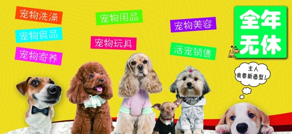 寵物