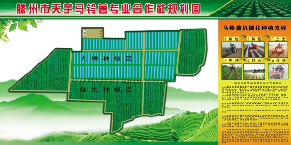 馬鈴薯規(guī)劃展板