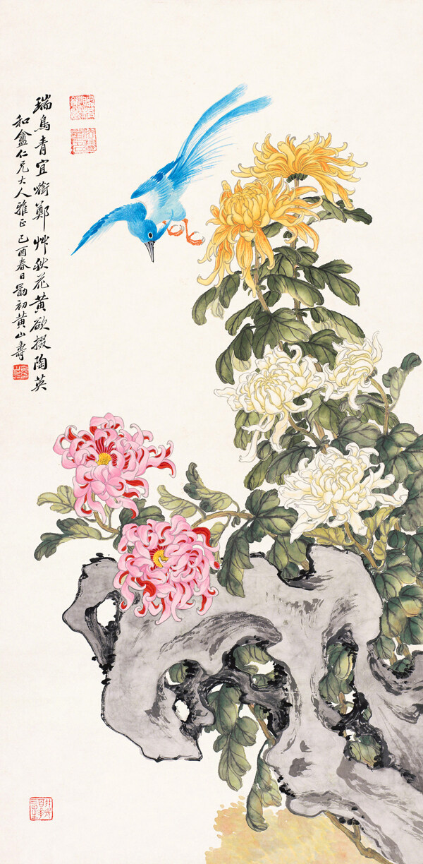 陶英瑞鳥圖片