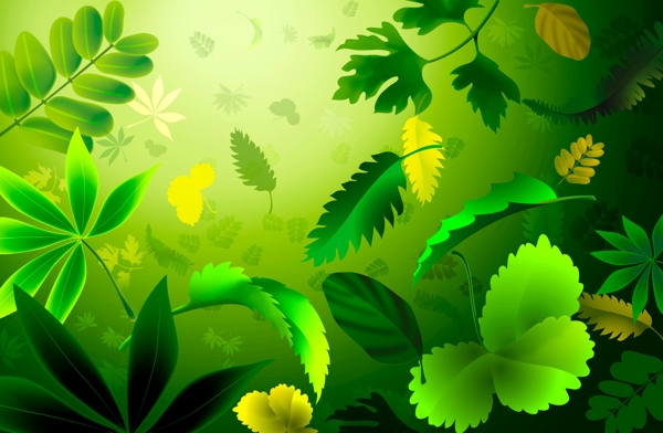 樹葉綠色植物葉子楓葉綠葉PSD分層素材源文件韓國花紋圖庫