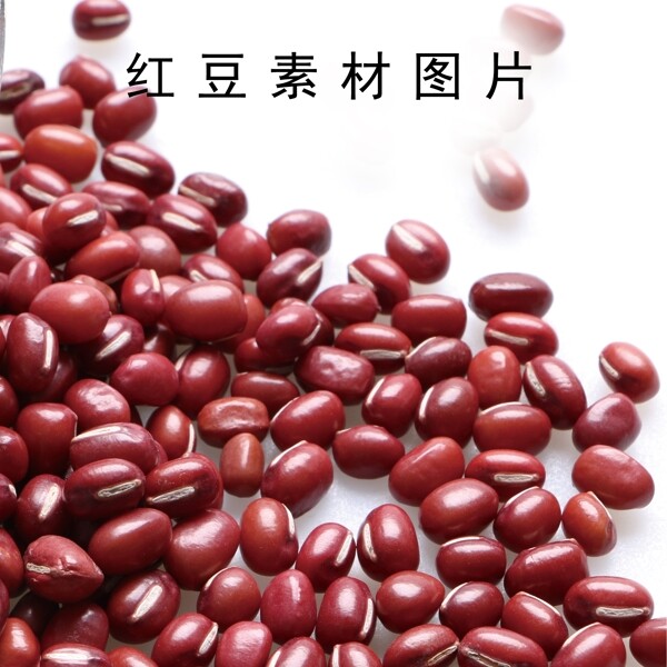 紅豆素材