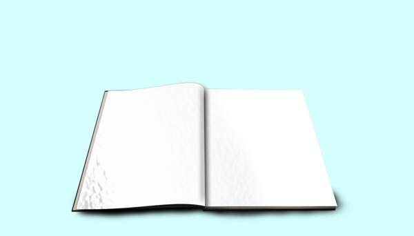 畫冊樣機