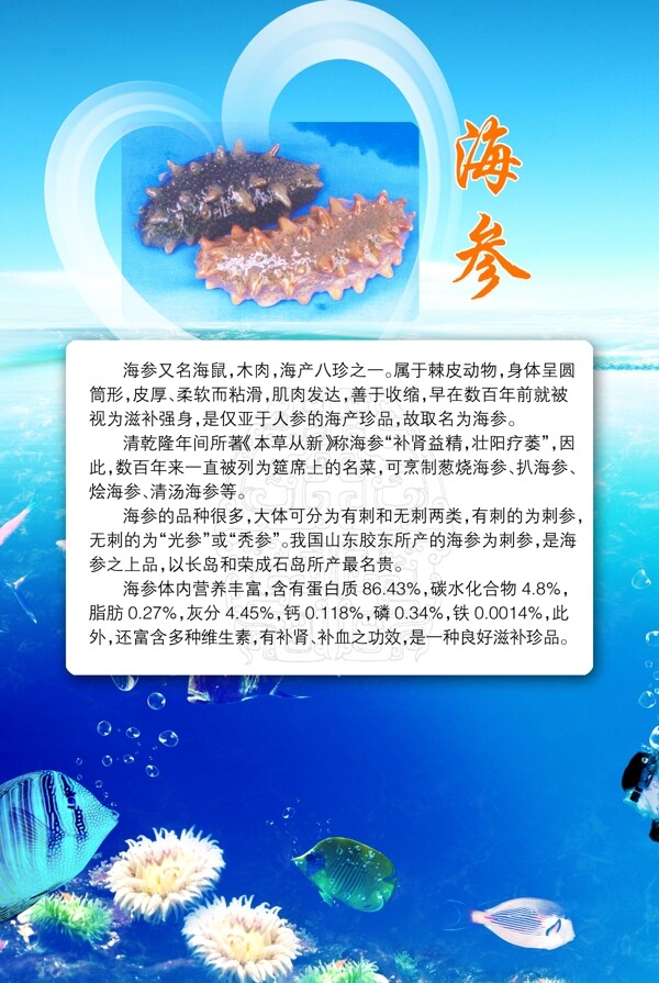 海參
