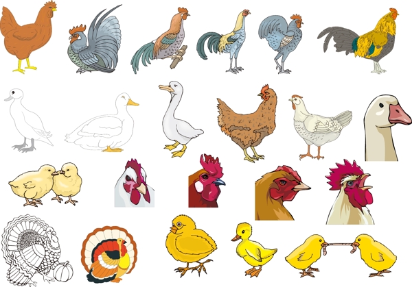 卡通动物公鸡元素
