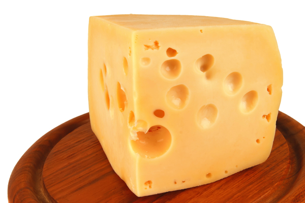 奶酪31图片