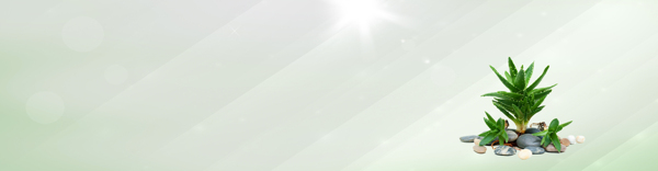 清新立體光線背景banner
