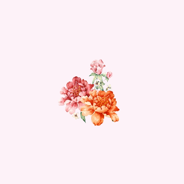 位圖psd植物花朵pop原創(chuàng)免費素材