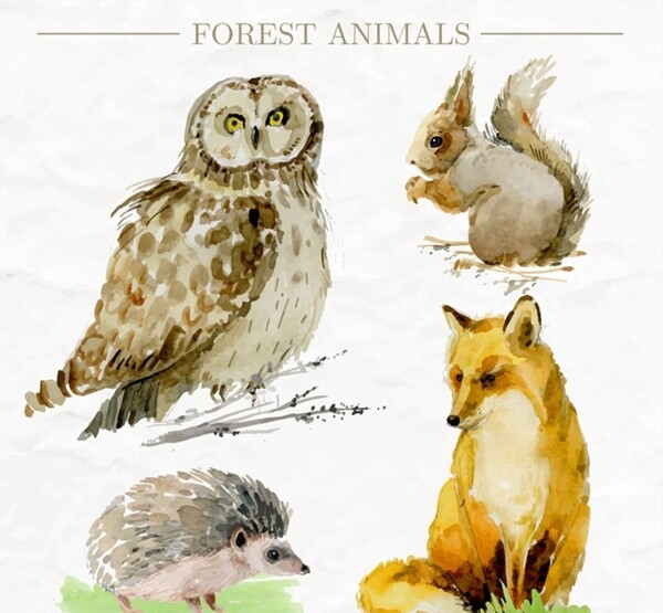 彩绘森林动物图片