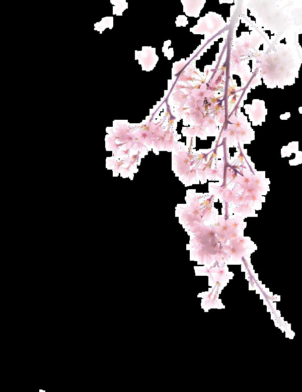 手繪粉色花朵元素