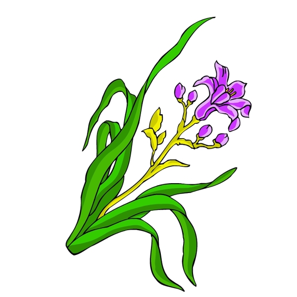花卉古典插畫
