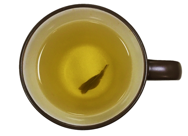 绿茶免抠素材