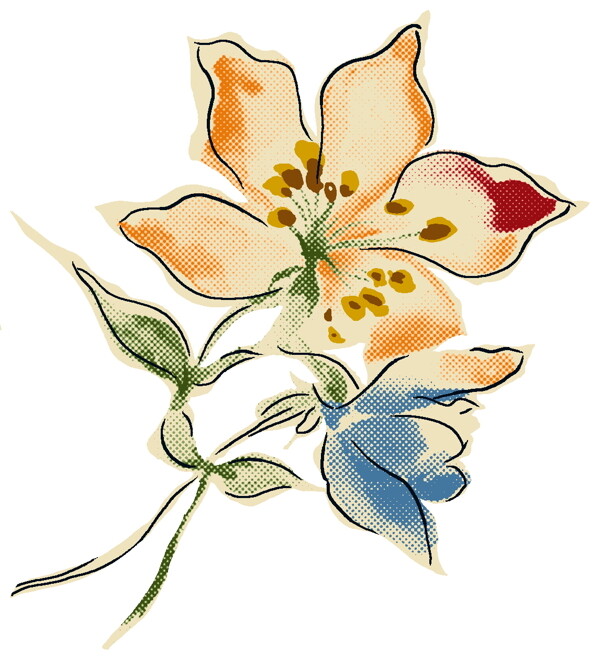 花草插圖花紋圖案0260