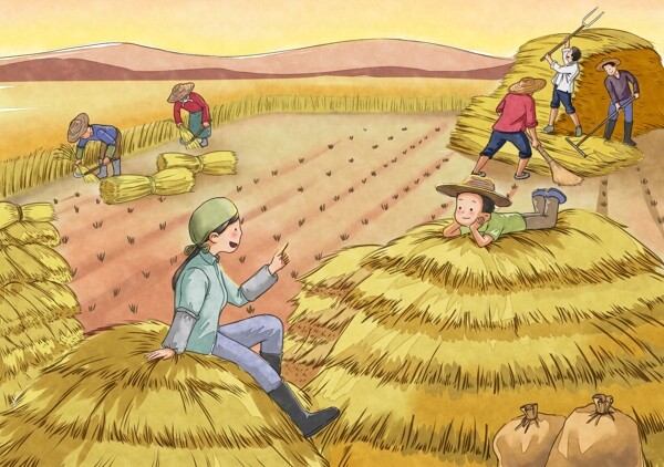 谷堆农田插画图片