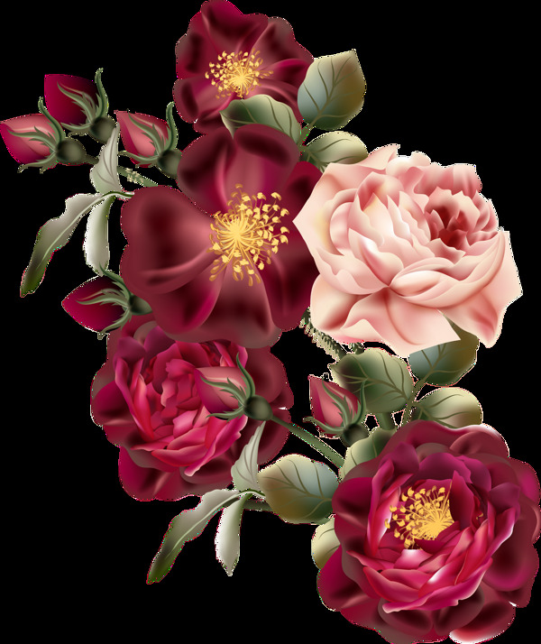 写实成熟化玫瑰花装饰素材