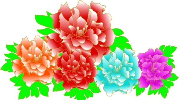 牡丹花