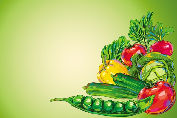 蔬菜插画背景