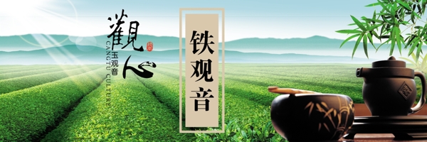鐵觀音