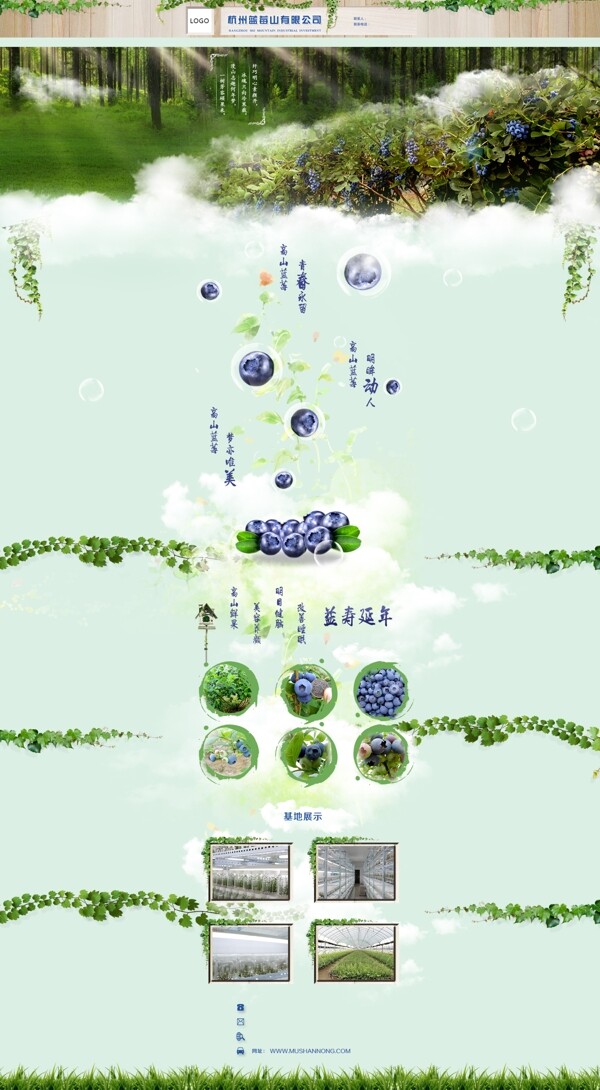 誠(chéng)信通藍(lán)莓