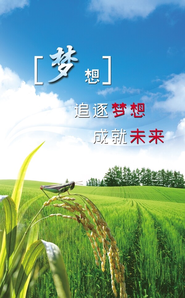 夢想圖片
