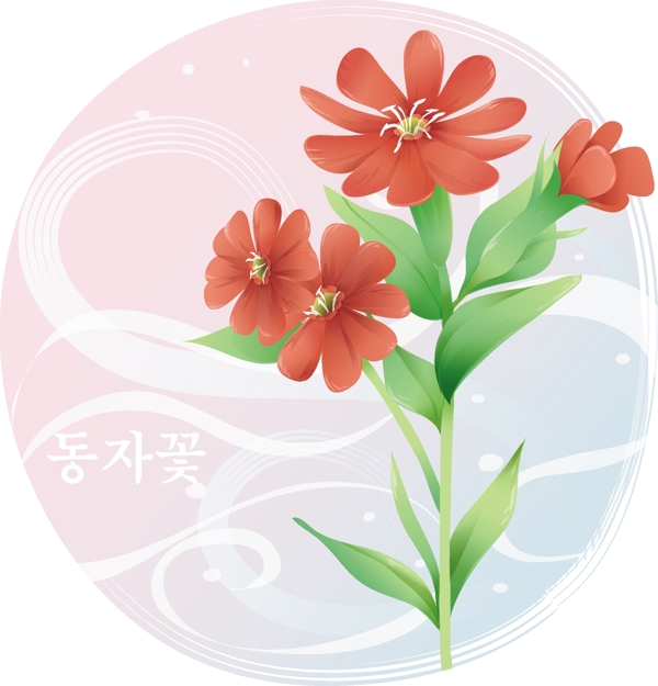 向量琴葉珊瑚植物