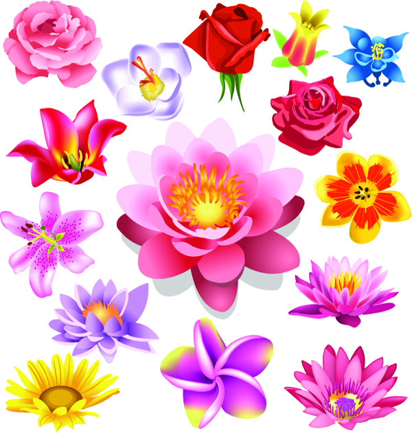 歐美花紋115矢量CDR