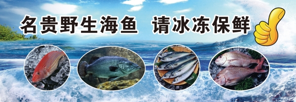 海浪海魚不干膠
