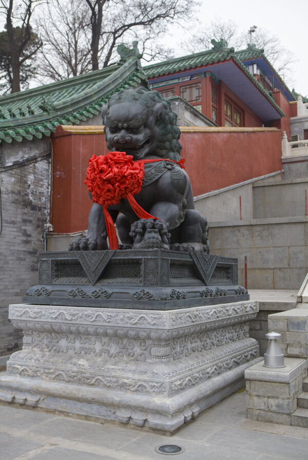 北京处公园石狮图片