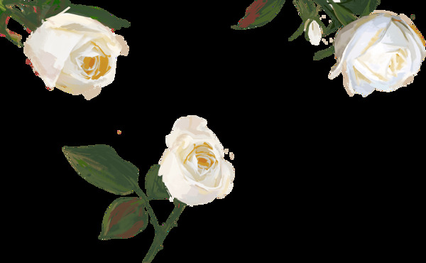 三支白色玫瑰png元素素材