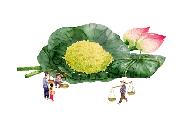 荷花荷葉