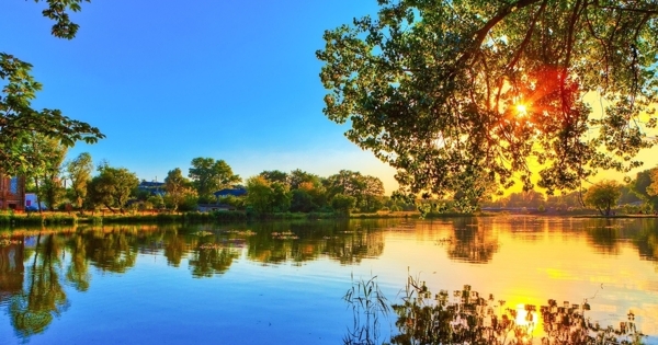 湖面树木美景湖景叶子如镜