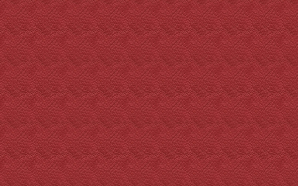 皮革毛皮21