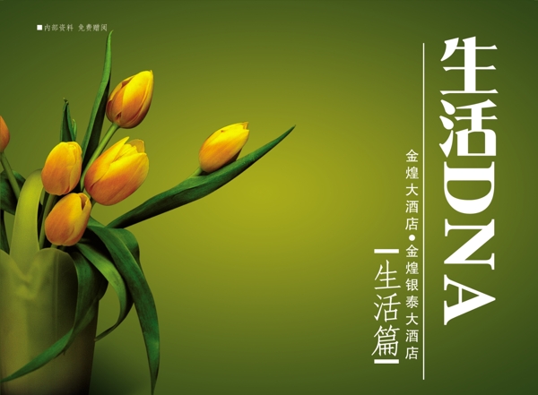 畫冊(cè)雜志封面
