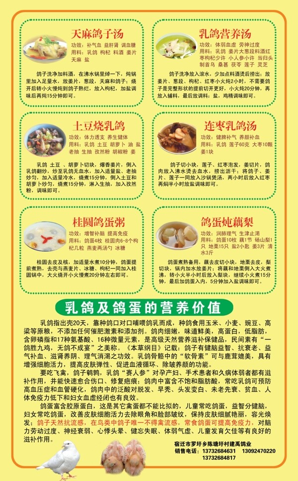 乳鴿展板圖片