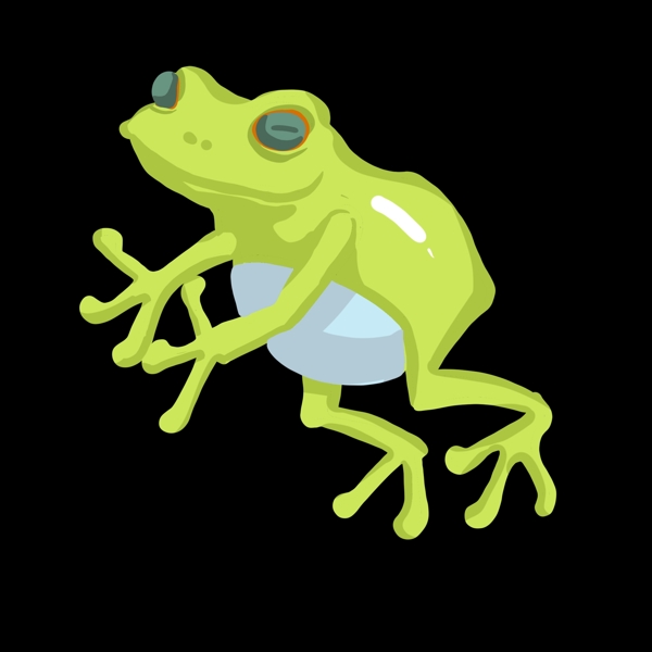 跳起的绿色青蛙