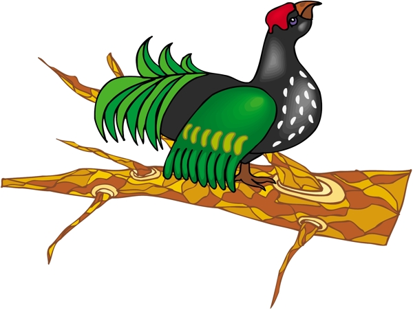 各種鳥類鳥動物矢量素材EPS格式0500