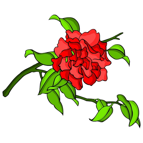 花卉古典插畫
