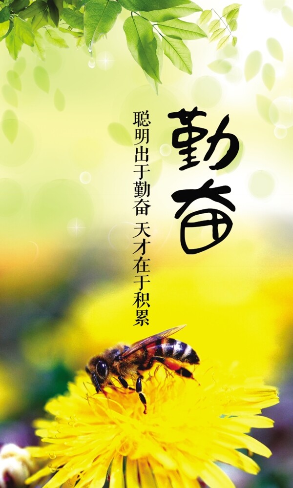 校園文化圖片